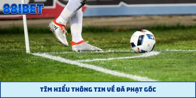 Tìm hiểu thông tin về đá phạt góc